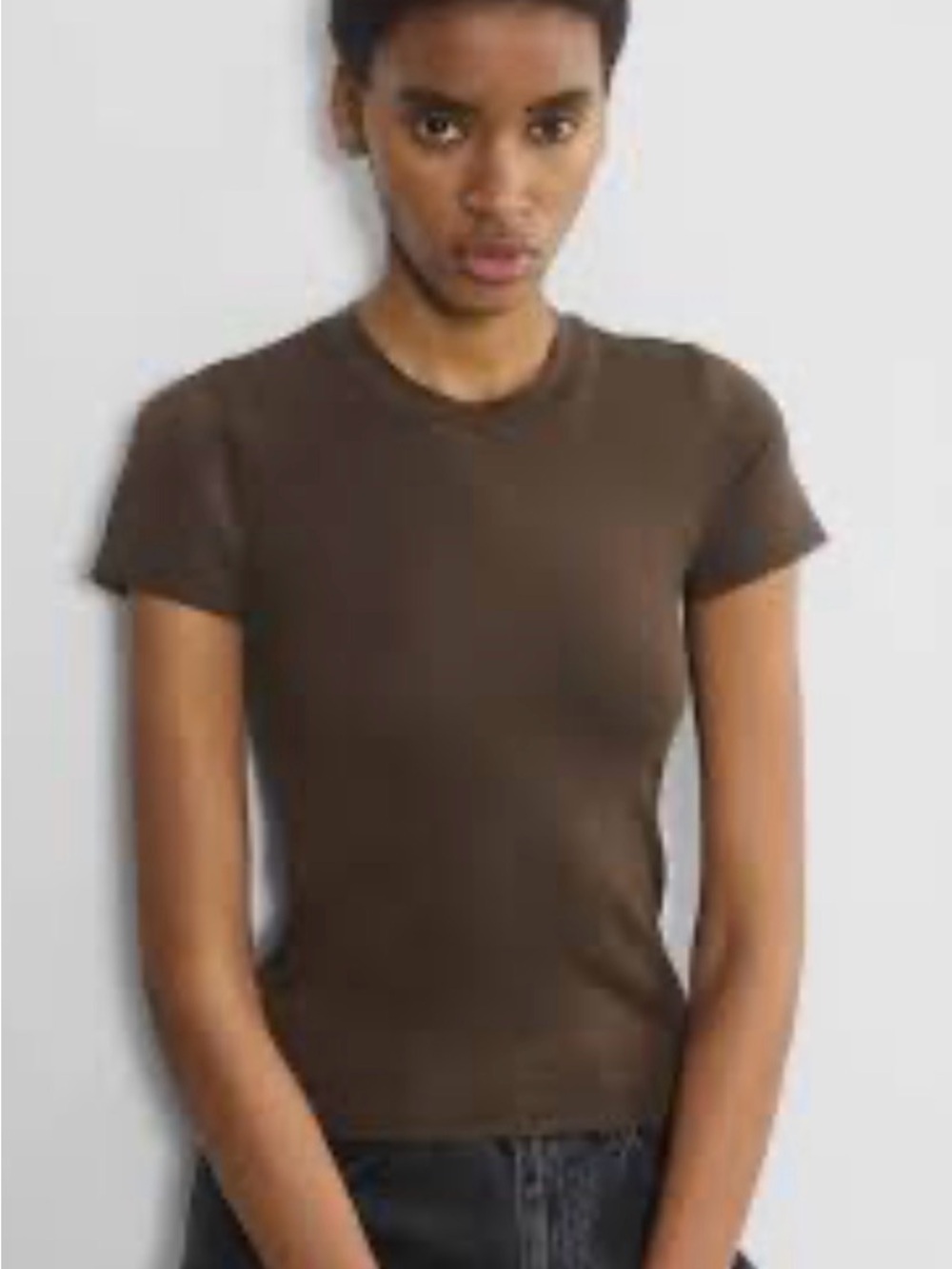 Babaton Dark Brown Crew Neck Tee